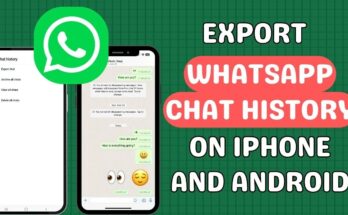 Step-by-Step: How to Export and View Your WhatsApp Message History