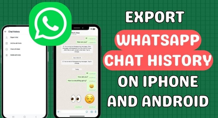 Step-by-Step: How to Export and View Your WhatsApp Message History