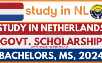 How to Increase Your Chances of Getting a Scholarship in the Netherlands 2025