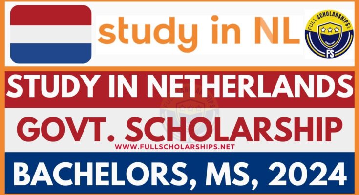 How to Increase Your Chances of Getting a Scholarship in the Netherlands 2025