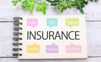 Life, Health, and Car Insurance: What You Need to Know in Japan